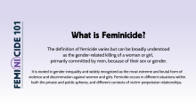 101 What is femicide