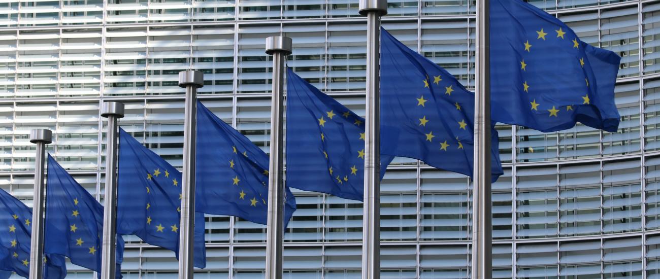 EU flags in front of building